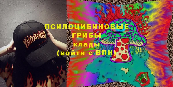 твердый Богородск