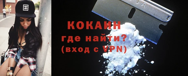 твердый Богородск