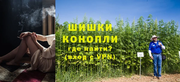 МДПВ Богородицк