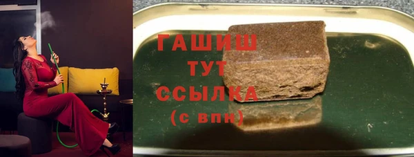 ECSTASY Богданович