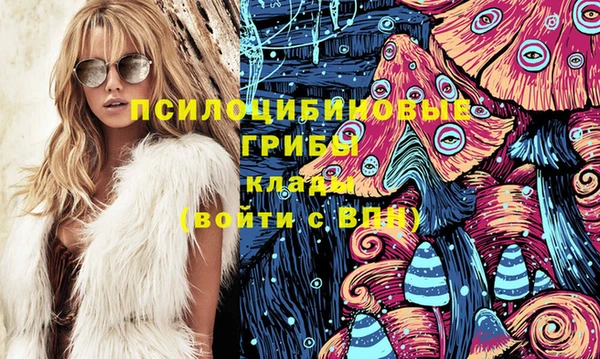 ECSTASY Богданович