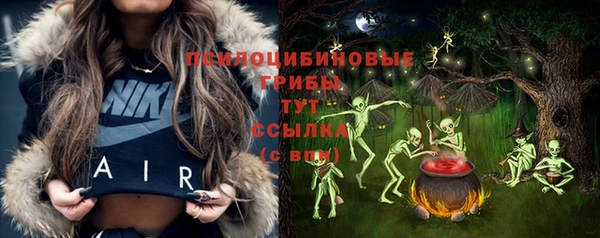 твердый Богородск