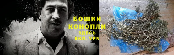 ECSTASY Богданович