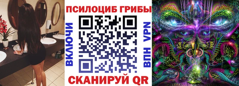 Купить закладки  Вельск  Псилоцибиновые грибы Cubensis 