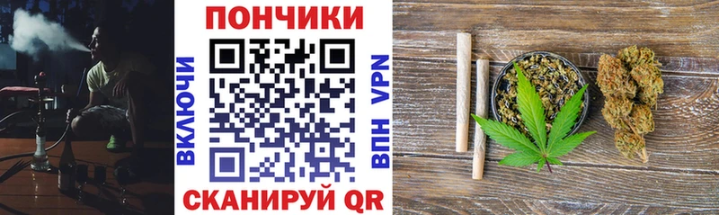 Купить  Вельск  Конопля индика 
